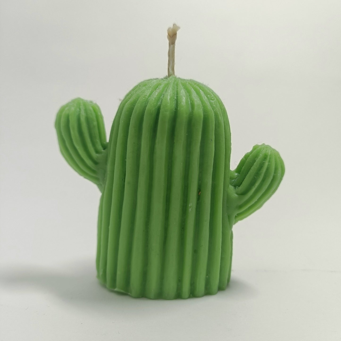 Vela de cactus