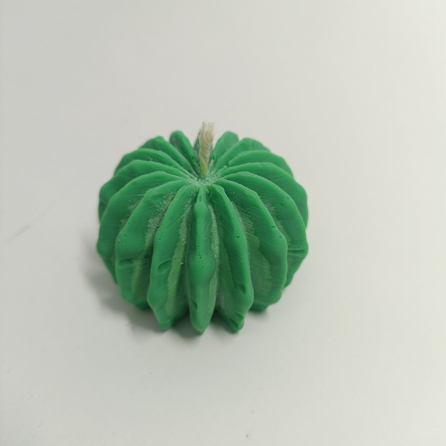 Vela de mini cactus