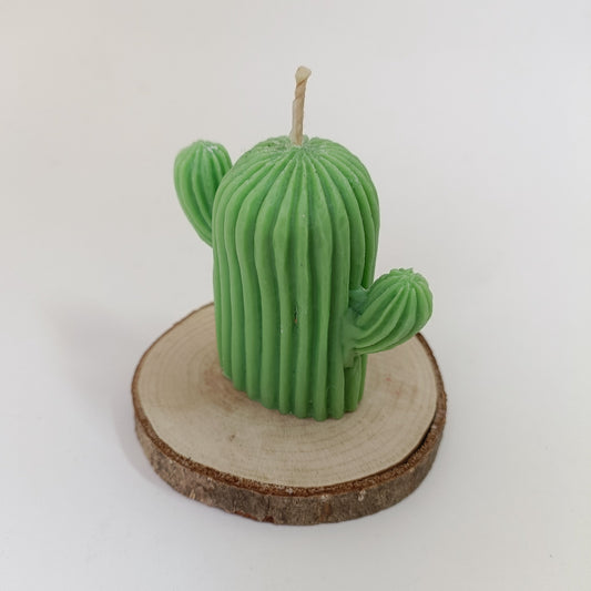 Vela de cactus